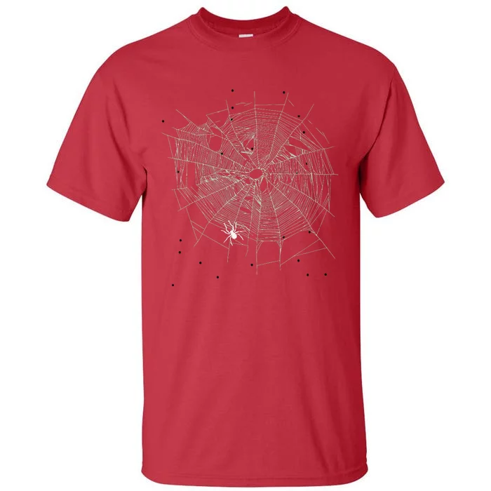 Entomologist Gift Idea Cobweb Spider Tall T-Shirt