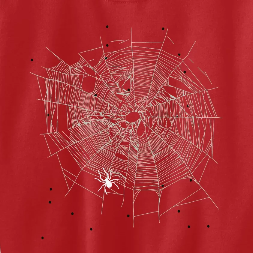 Entomologist Gift Idea Cobweb Spider Kids Sweatshirt