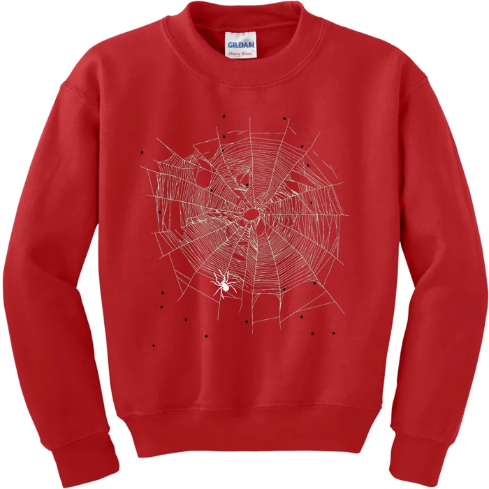 Entomologist Gift Idea Cobweb Spider Kids Sweatshirt