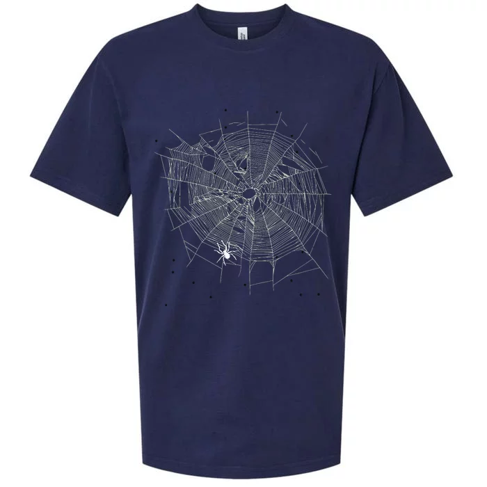 Entomologist Gift Idea Cobweb Spider Sueded Cloud Jersey T-Shirt