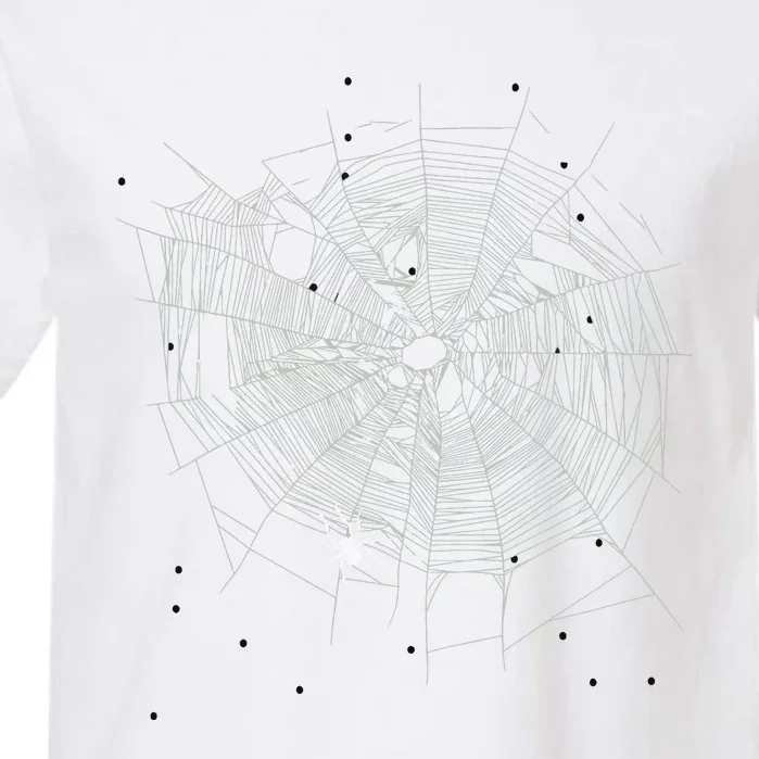 Entomologist Gift Idea Cobweb Spider Garment-Dyed Heavyweight T-Shirt