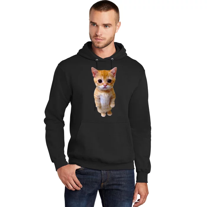 El Gato Meme Sad Crying Cat Munchkin Kitty Meme Trendy Hoodie