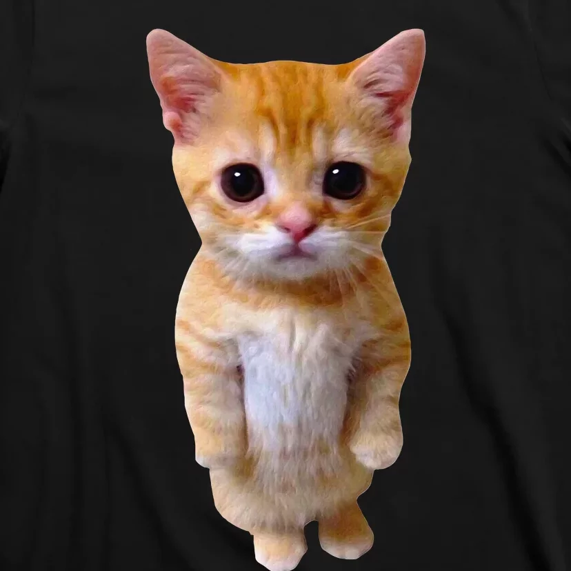 El Gato Meme Sad Crying Cat Munchkin Kitty Meme Trendy T-Shirt