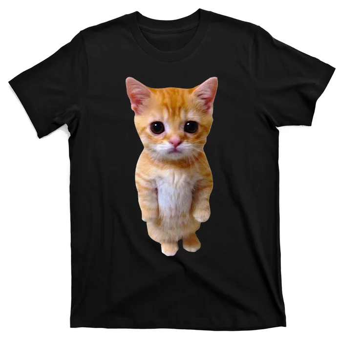 El Gato Meme Sad Crying Cat Munchkin Kitty Meme Trendy T-Shirt