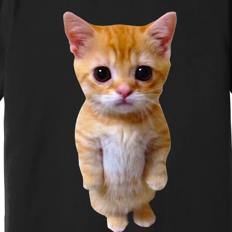 El Gato Meme Sad Crying Cat Munchkin Kitty Meme Trendy Premium T-Shirt