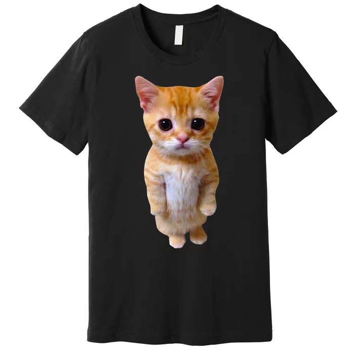 El Gato Meme Sad Crying Cat Munchkin Kitty Meme Trendy Premium T-Shirt