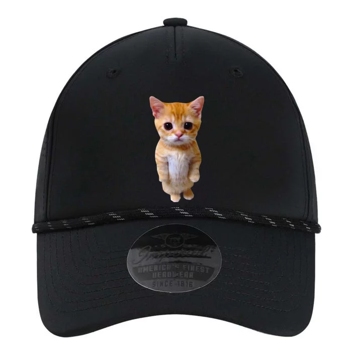 El Gato Meme Sad Crying Cat Munchkin Kitty Meme Trendy Performance The Dyno Cap