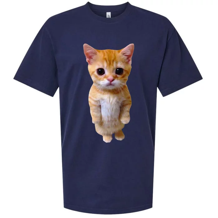 El Gato Meme Sad Crying Cat Munchkin Kitty Meme Trendy Sueded Cloud Jersey T-Shirt