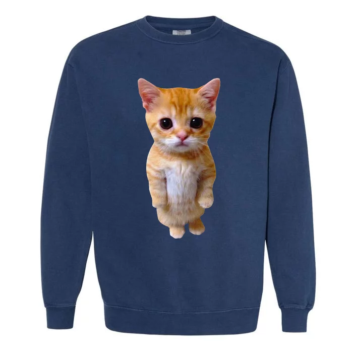 El Gato Meme Sad Crying Cat Munchkin Kitty Meme Trendy Garment-Dyed Sweatshirt