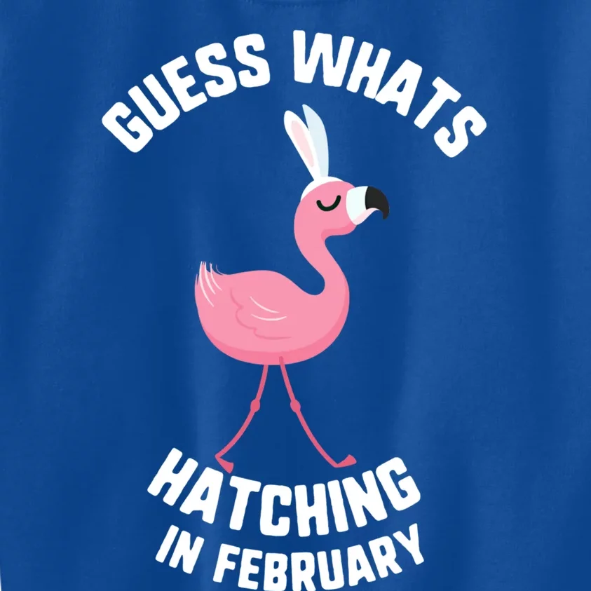 Easter Guess What Hatching In February Flamingo Gift Kids Sweatshirt