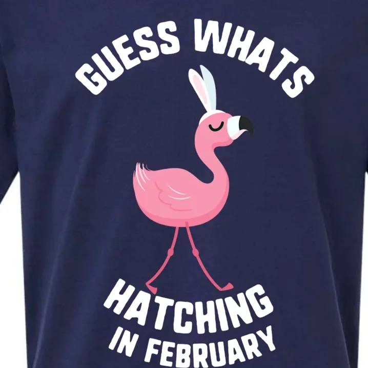 Easter Guess What Hatching In February Flamingo Gift Sueded Cloud Jersey T-Shirt