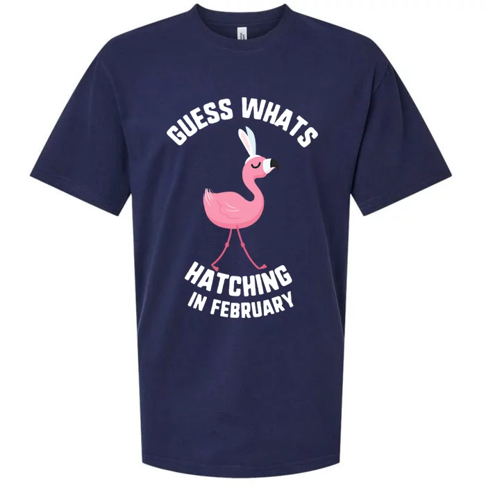 Easter Guess What Hatching In February Flamingo Gift Sueded Cloud Jersey T-Shirt