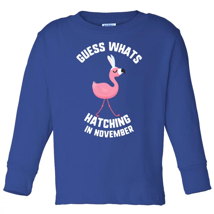 Easter Guess What Hatching In November Flamingo Bunny Gift Toddler Long Sleeve Shirt