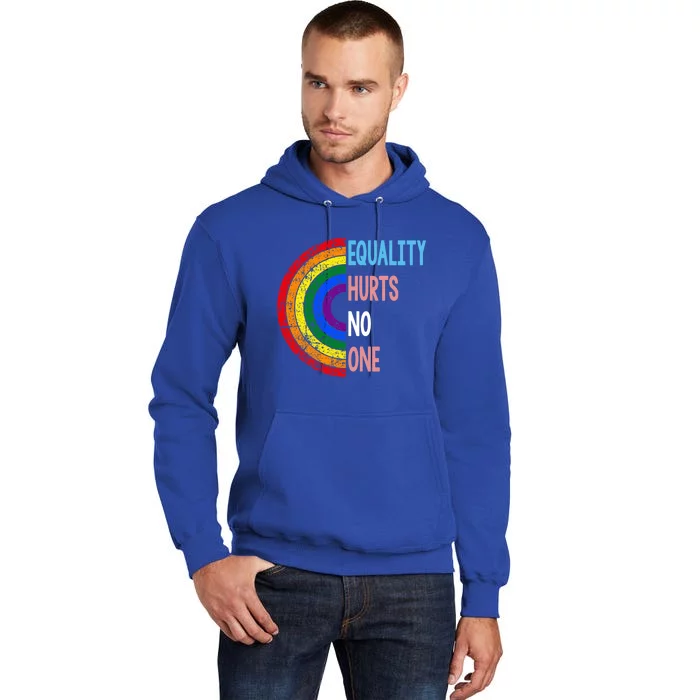 Equality Hurts No One Lgbt Pride Gift Tall Hoodie