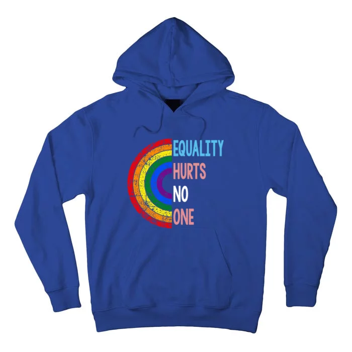 Equality Hurts No One Lgbt Pride Gift Tall Hoodie