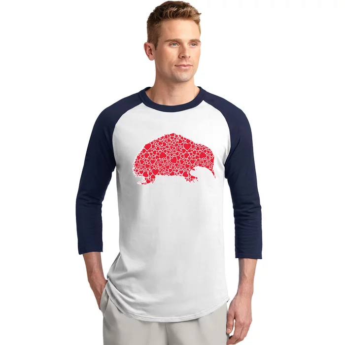 Echidna Hearts Valentine's Day Hedgehog Lover Gift Great Gift Baseball Sleeve Shirt