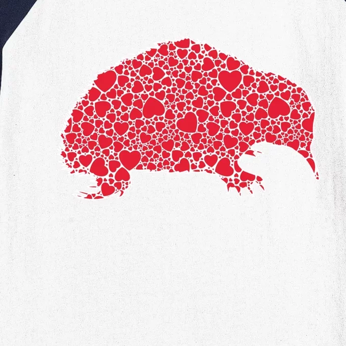 Echidna Hearts Valentine's Day Hedgehog Lover Gift Great Gift Baseball Sleeve Shirt