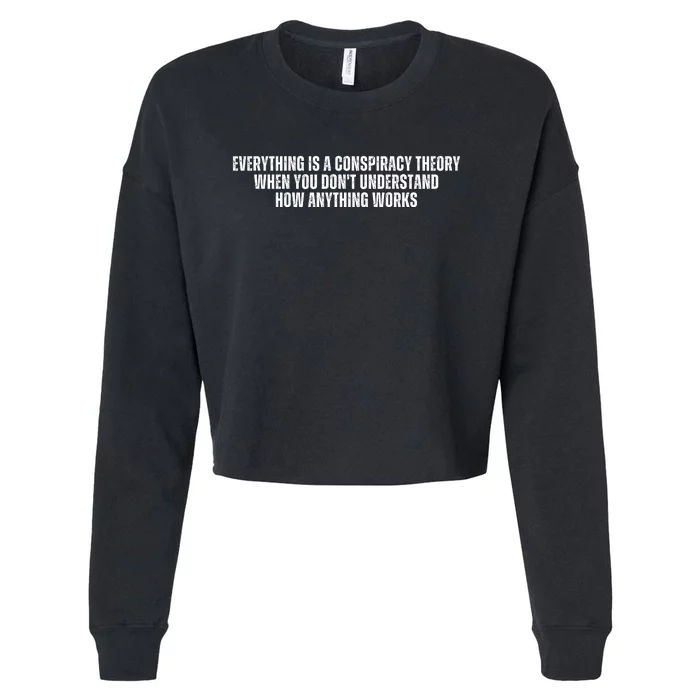 Everything Is A Conspiracy Theory When You Dont Understand How Anything Works Cropped Pullover Crew