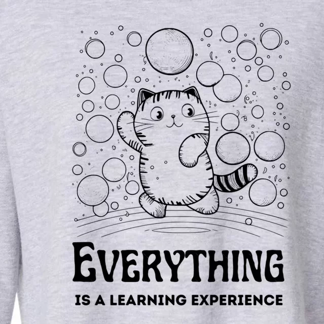 Everything Is A Learning Experience Cropped Pullover Crew