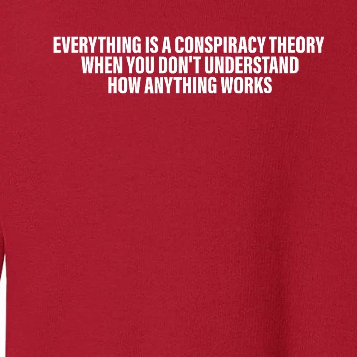 Everything Is A Conspiracy Theory When You DonT Understand Toddler Sweatshirt