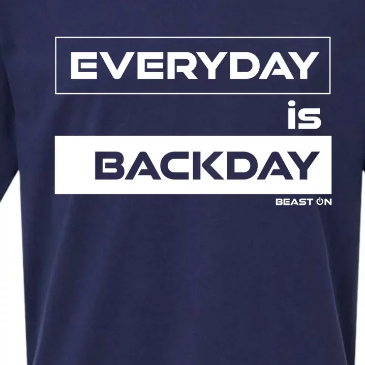 Everyday Is Backday Back Day Gym Motivation Fitness Gift Sueded Cloud Jersey T-Shirt