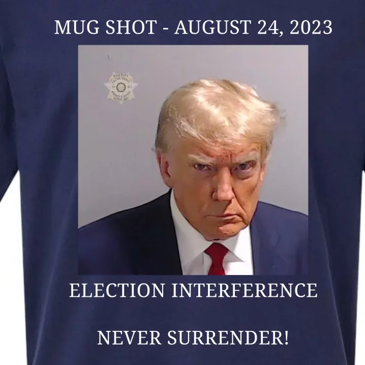 Election Interference Donald Trump Mugshot Sueded Cloud Jersey T-Shirt