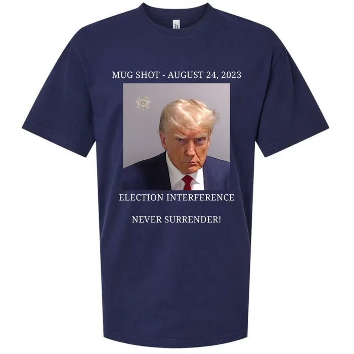 Election Interference Donald Trump Mugshot Sueded Cloud Jersey T-Shirt