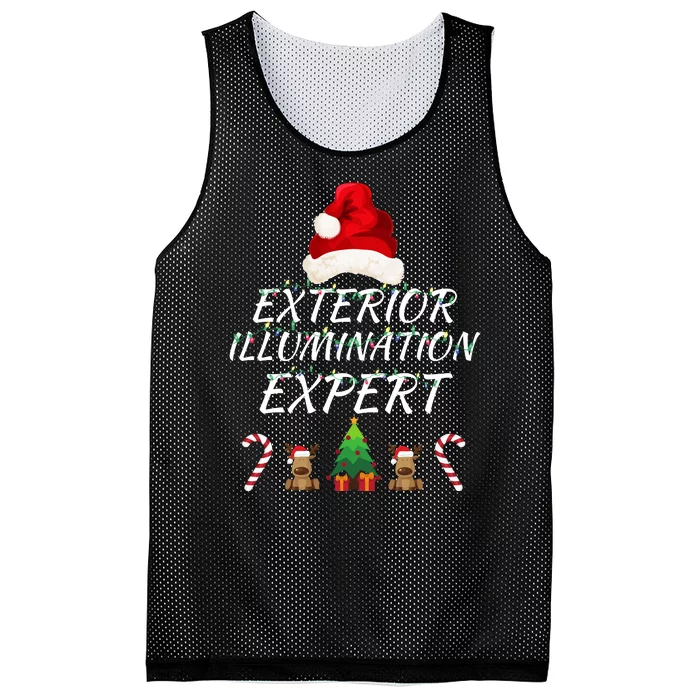 Exterior Illumination Expert Christmas Light Decorator Funny Illumination Expert Mesh Reversible Basketball Jersey Tank