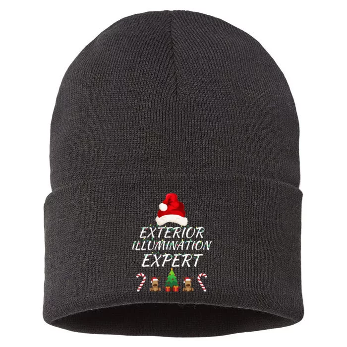 Exterior Illumination Expert Christmas Light Decorator Funny Illumination Expert Sustainable Knit Beanie