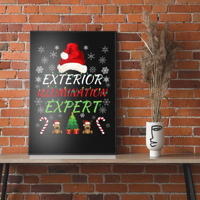 Exterior Illumination Expert Funny Illumination Expert Christmas Light Decorator Poster