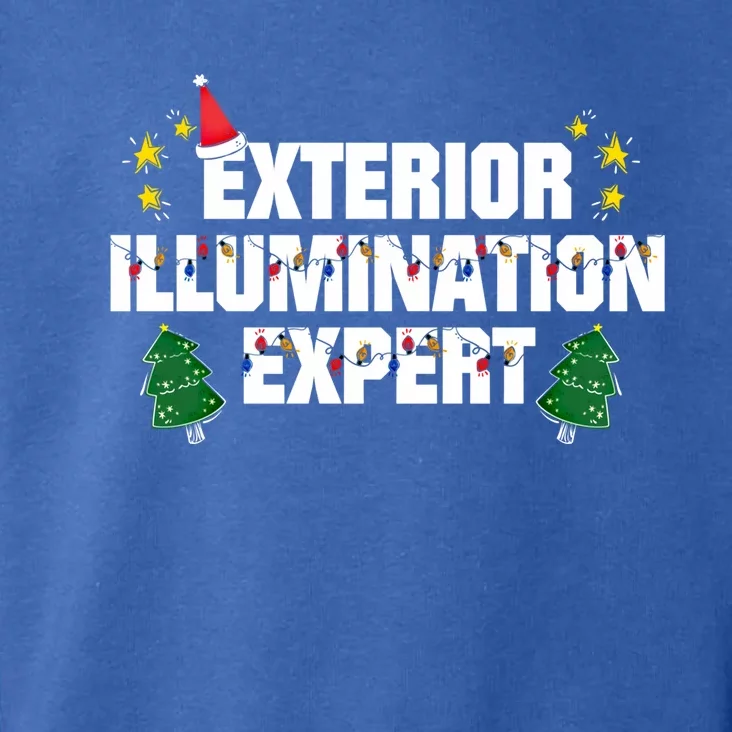 Exterior Illumination Expert Christmas Light Hanging Pro Gift Toddler Hoodie