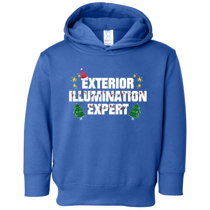 Exterior Illumination Expert Christmas Light Hanging Pro Gift Toddler Hoodie