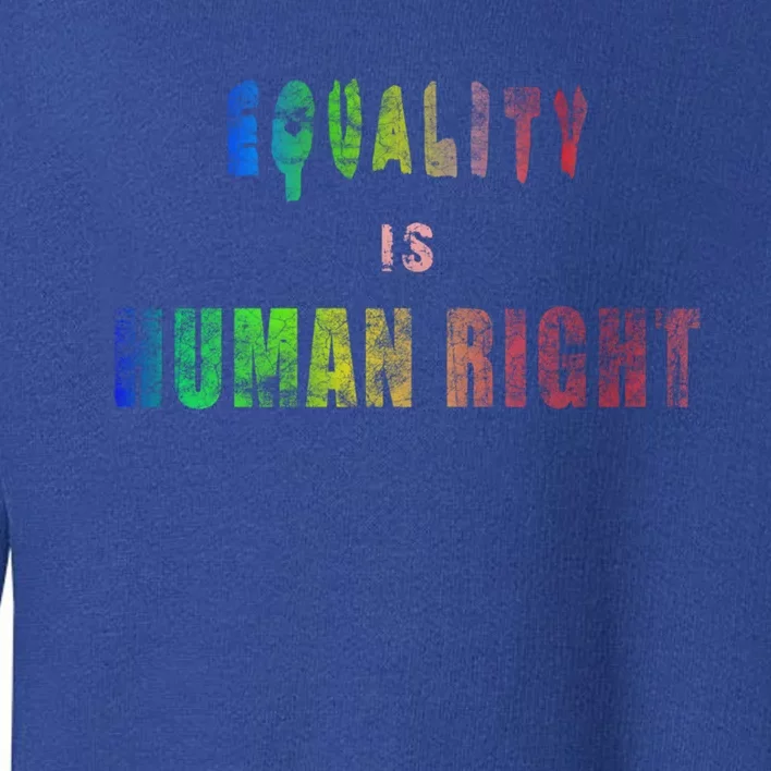 Equality Is Hu Right Gift Toddler Sweatshirt