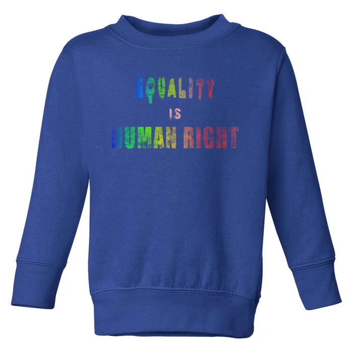 Equality Is Hu Right Gift Toddler Sweatshirt