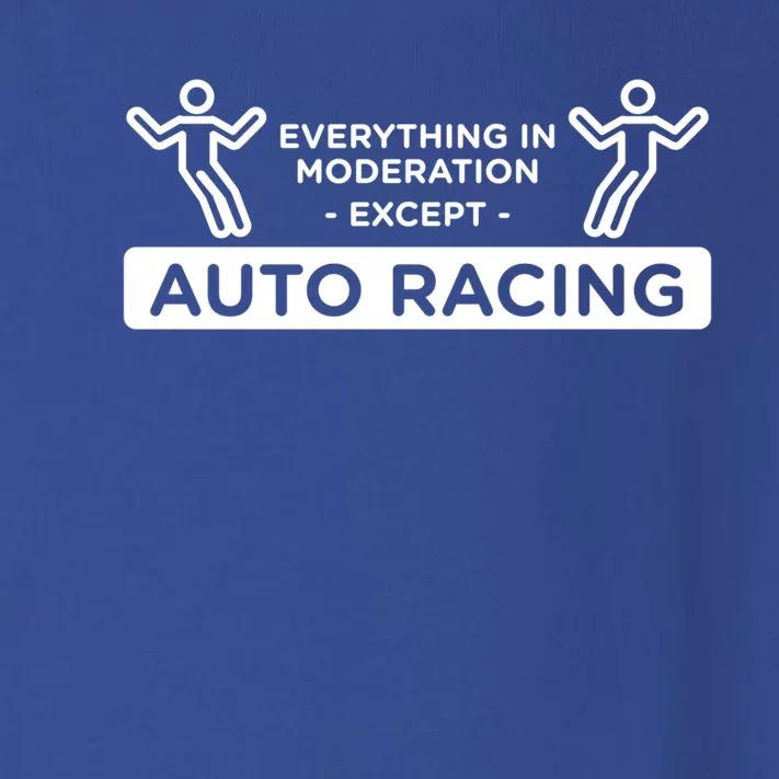 Everything In Moderation Except Auto Racing Car Racing Gift Toddler Long Sleeve Shirt