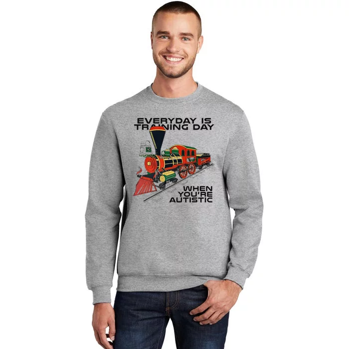 Everyday Is Training Day When YouRe Autistic Tall Sweatshirt