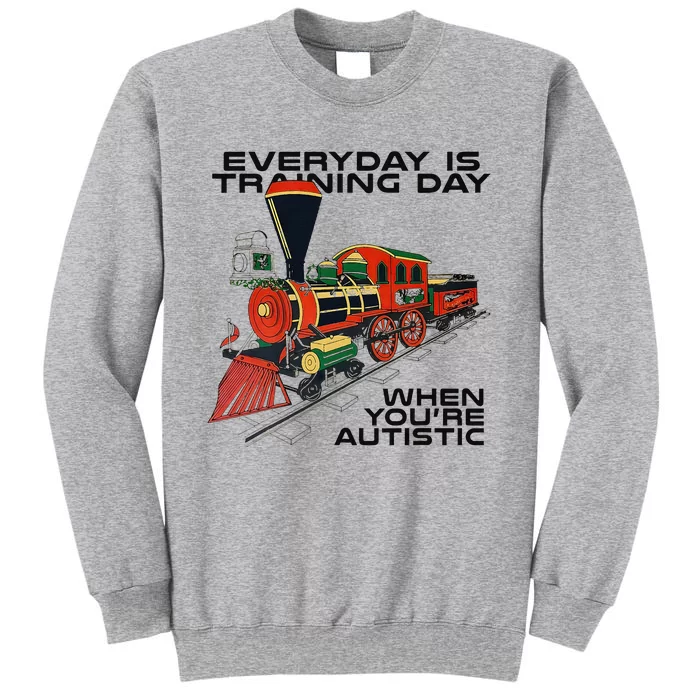 Everyday Is Training Day When YouRe Autistic Tall Sweatshirt