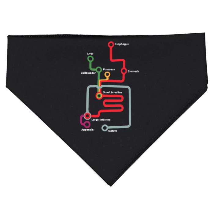 Esophagus Liver Gallbladder Pancreas Stomach Small Intestine USA-Made Doggie Bandana