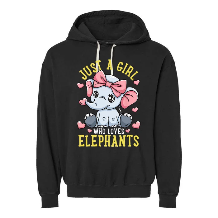 Elephant Lover Gift Just A Who Loves Elephants Garment-Dyed Fleece Hoodie