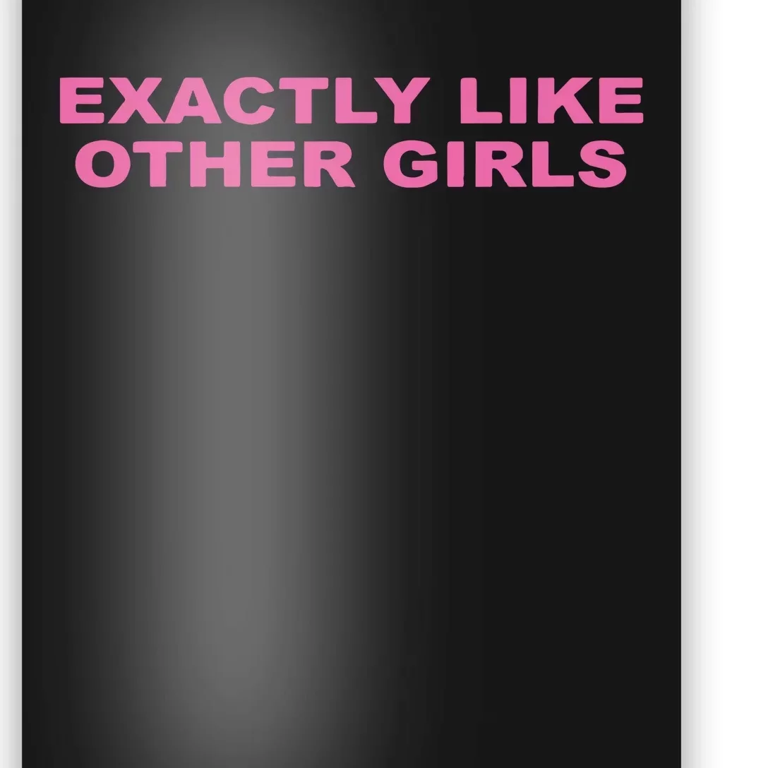 Exactly Like Other Girl Poster