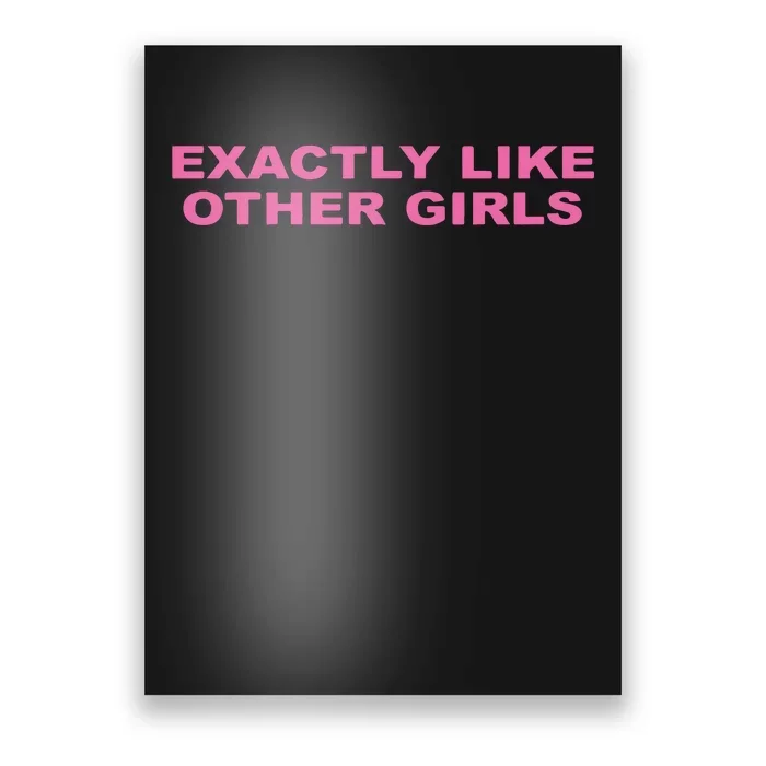 Exactly Like Other Girl Poster