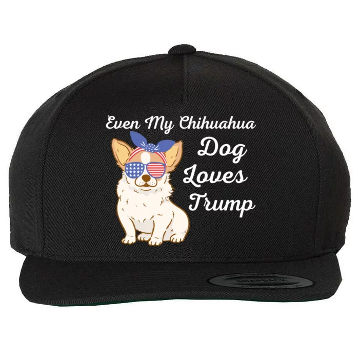 Even My Chihuahua Dog Loves Trump The Felon 2024 Us Election Gift Wool Snapback Cap