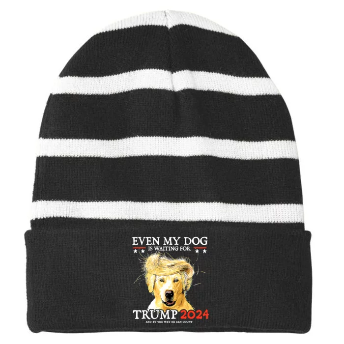 Even My Dog Is Waiting For Trump 2024 Striped Beanie with Solid Band