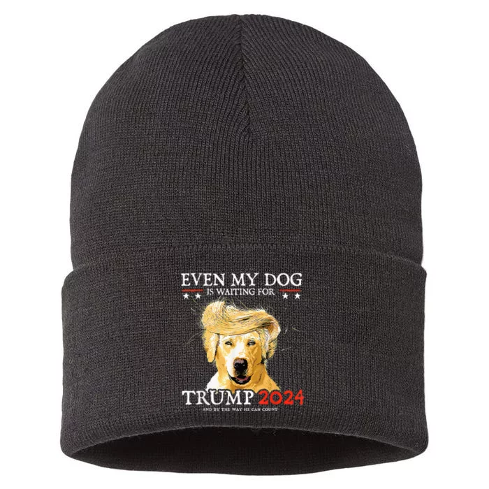 Even My Dog Is Waiting For Trump 2024 Funny Dog Sustainable Knit Beanie