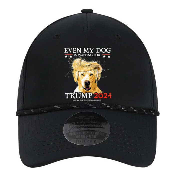 Even My Dog Is Waiting For Trump 2024 Funny Dog Performance The Dyno Cap