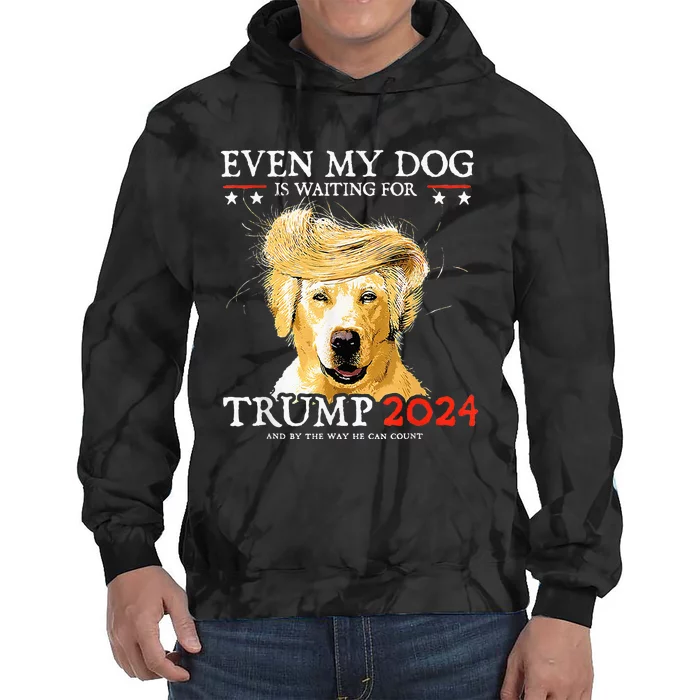 Even My Dog Is Waiting For Trump 2024 Funny Dog Tie Dye Hoodie