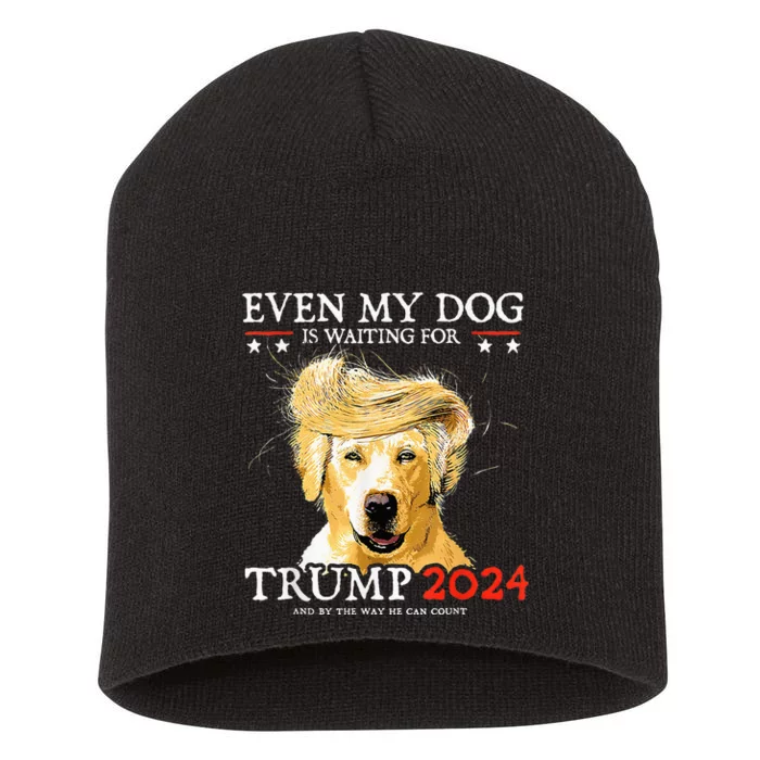 Even My Dog Is Waiting For Trump 2024 Funny Dog Short Acrylic Beanie