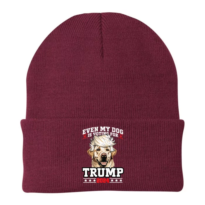 Even My Dog Is Voting For Trump 2024 Knit Cap Winter Beanie