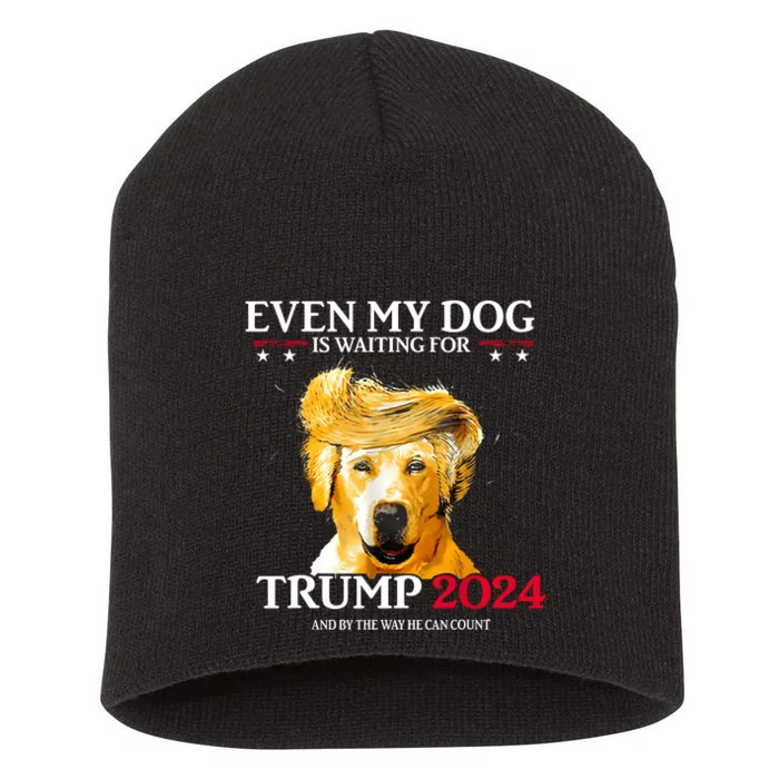 Even My Dog Is Waiting For Trump 2024 Funny Dog Trump Hair Short Acrylic Beanie