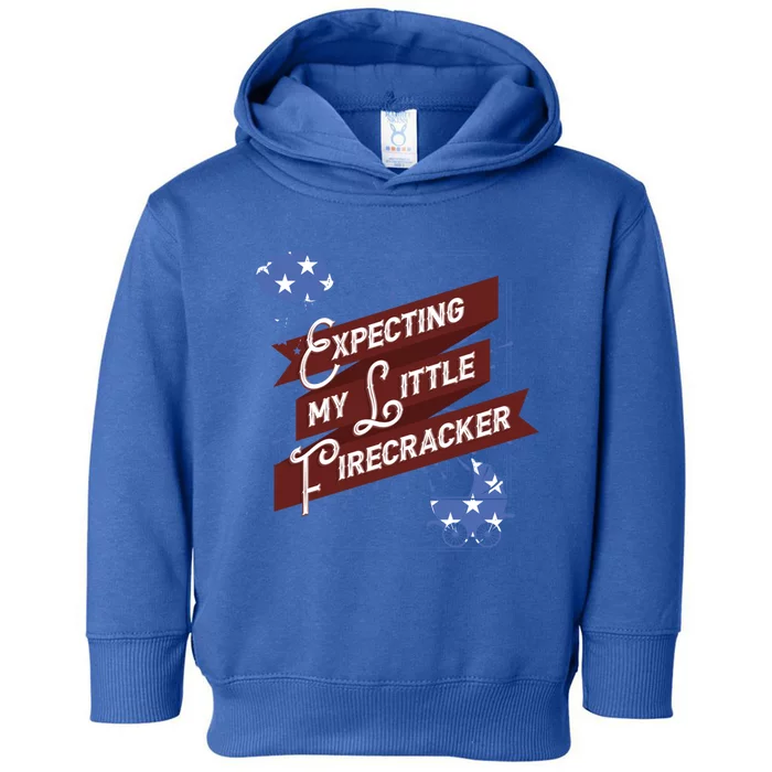 Expecting My Little Firecracker Gift Toddler Hoodie